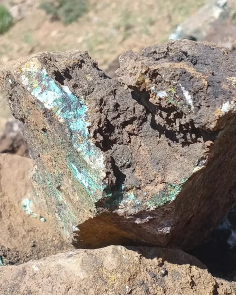 Échantillon de roche prélevé sur le Projet cuivre Ourg montrant une minéralisation visible en malachite et chrysocolle associée à une altération hydrothermale et à un système filonien quartzifère.